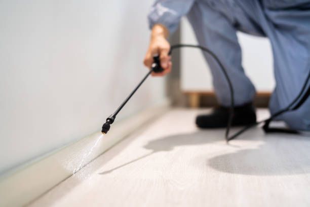 Licensed Pest Control service in Eddington, PA - Show Me Pest Control