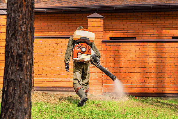 Bed Bug Clearance Verification and Documentation in Eddington
